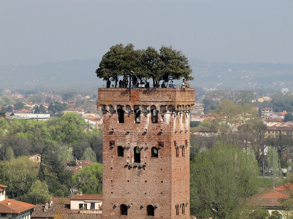 Lucca dall'Alto: Il Bosco Sospeso sulla Torre Guinigi